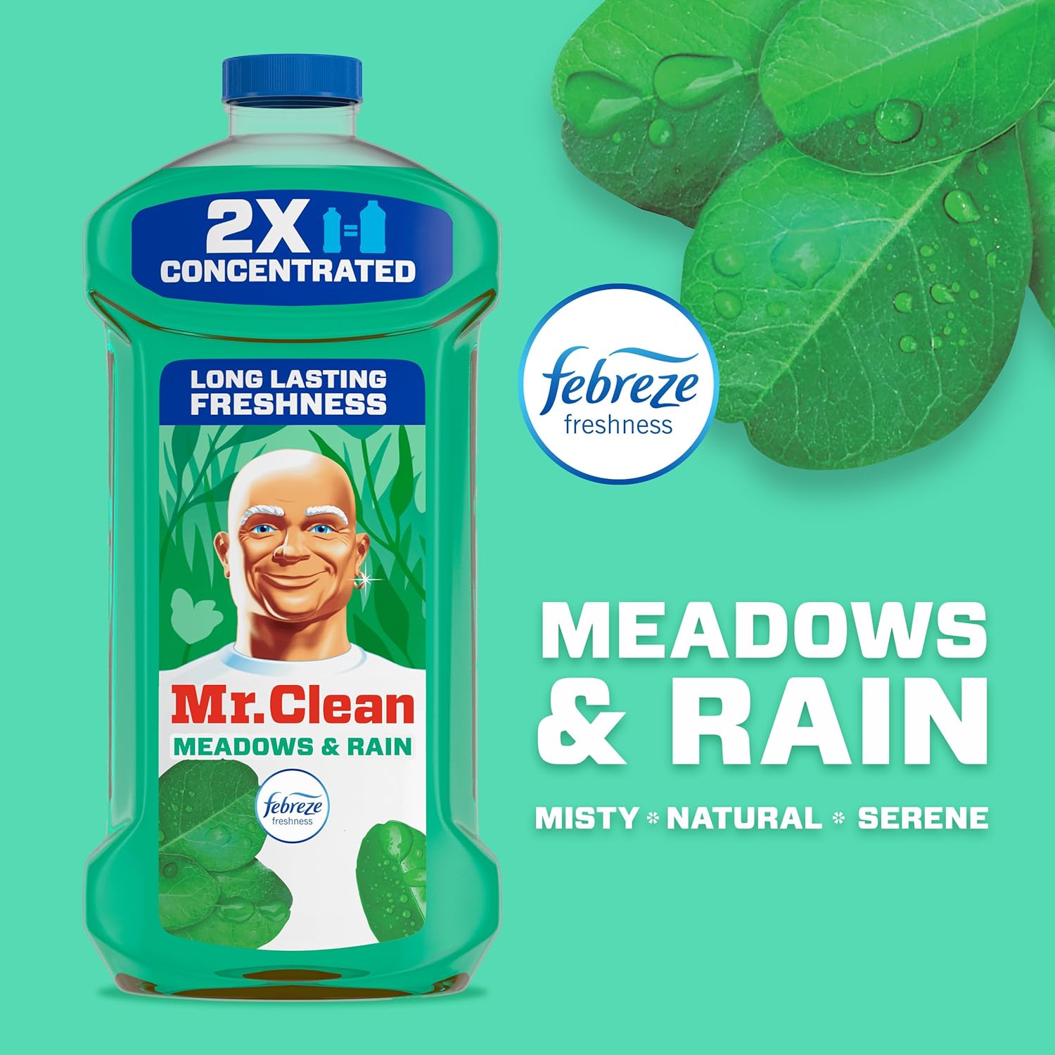 streak-free cleaning on glass and shiny surfaces