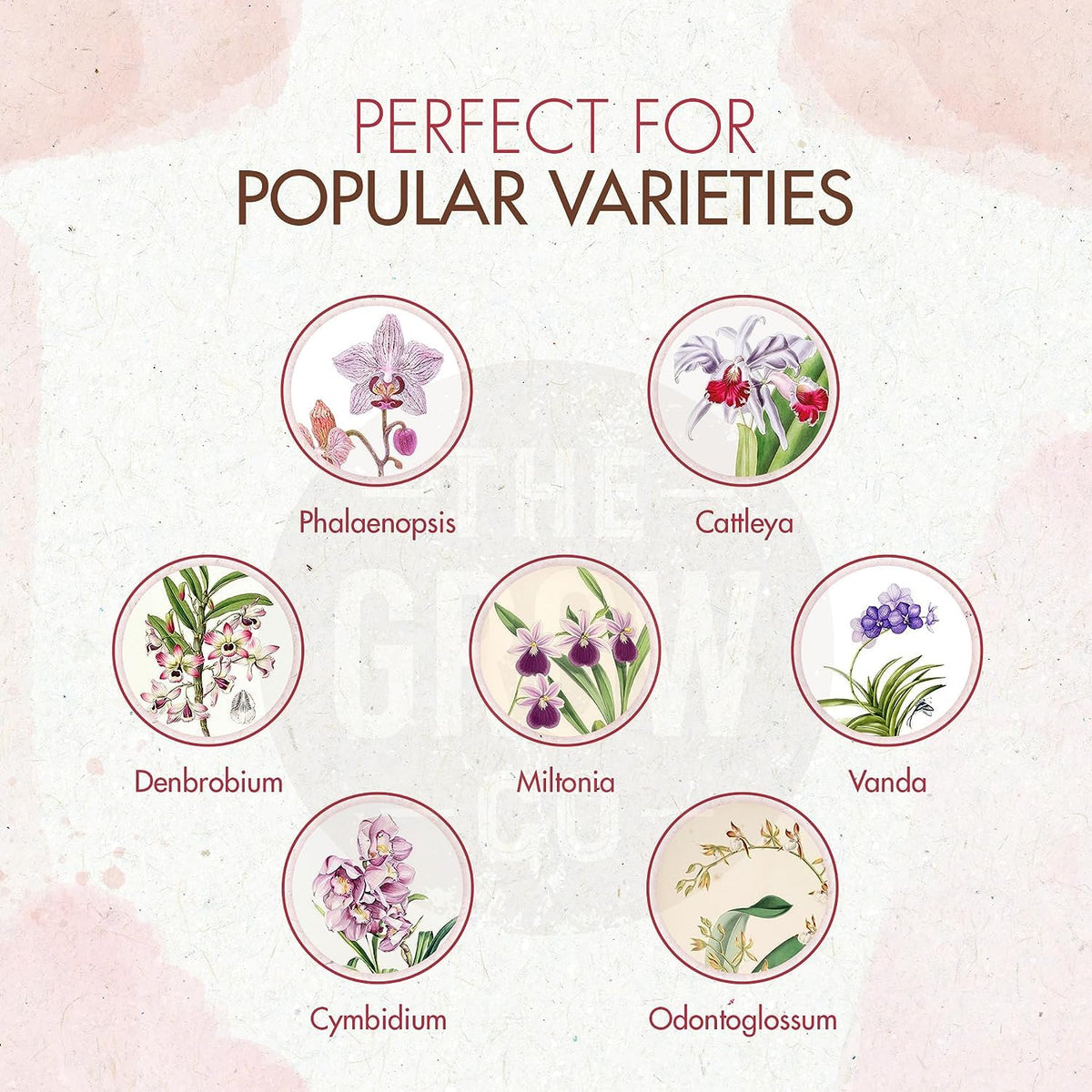 suitable for phalaenopsis, cattleya, vanda, cymbidium, dendrobium, and other orchid varieties