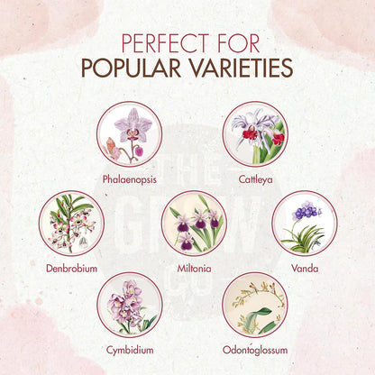 suitable for phalaenopsis, cattleya, vanda, cymbidium, dendrobium, and other orchid varieties