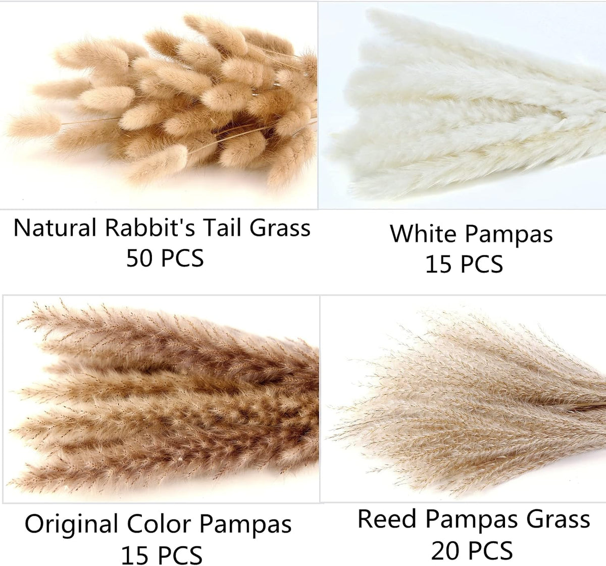 sun-activated fluffiness — 2–3 hours of sunlight exposure plumps and softens the plumes