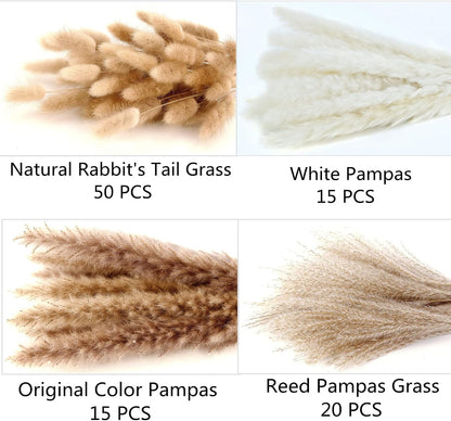 sun-activated fluffiness — 2–3 hours of sunlight exposure plumps and softens the plumes