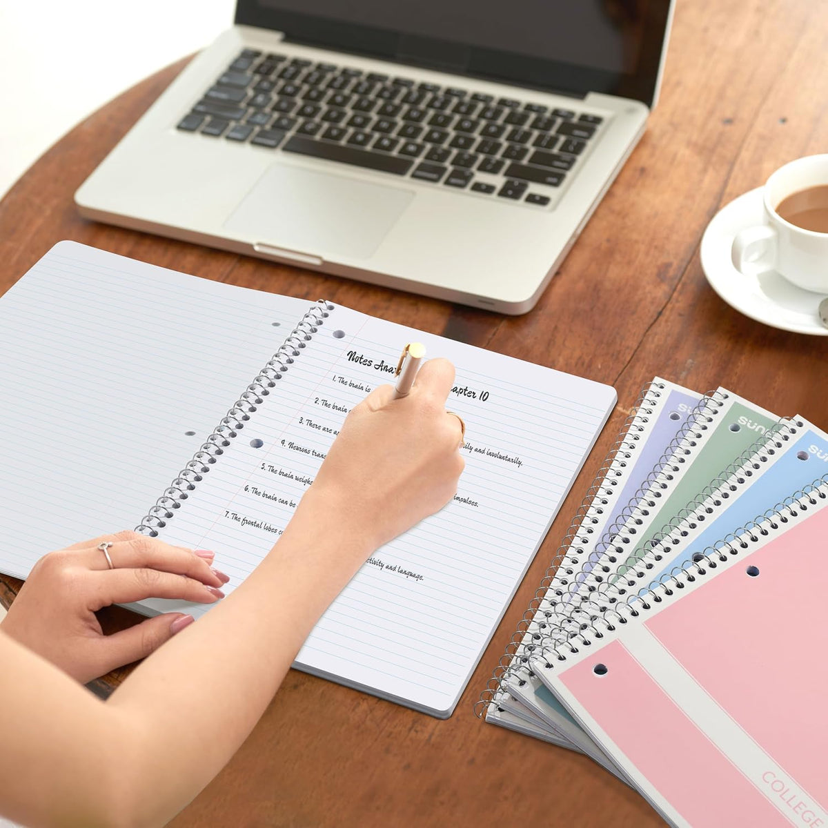 SUNEE Spiral Notebooks 1-Subject 4 Pack, Ready-to-Gift Stationery Bundle for Coworkers and Teens