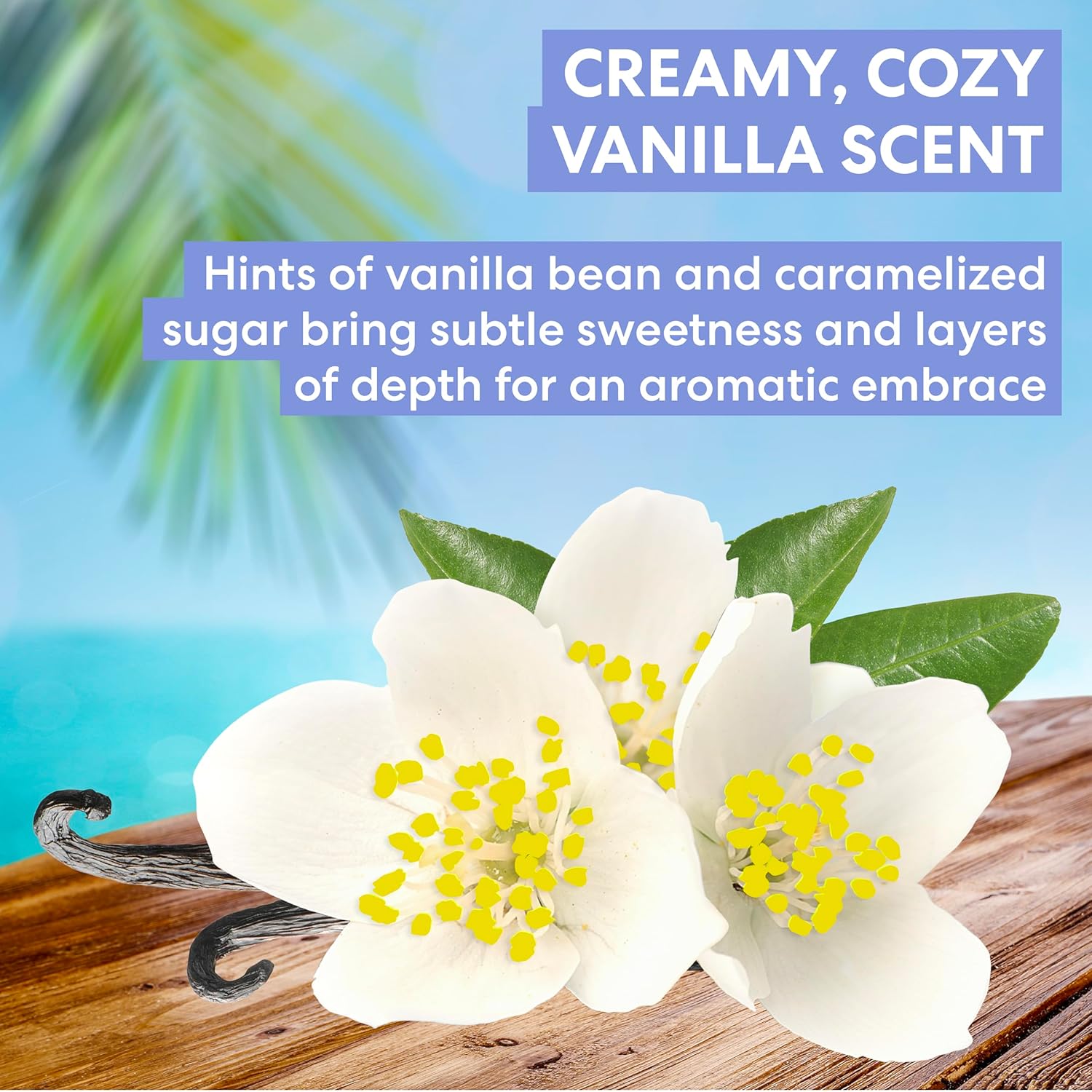 tahitian vanilla fragrance layered with caramelized sugar notes