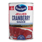 Ocean Spray Jellied Cranberry Sauce – Simple One-Ingredient Holiday Side for a Clutter-Free Pantry, 14 Oz Can