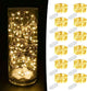 7.2 Ft-12 Pack-20 LED - Silver Warm White