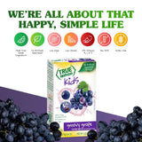 True Lemon Portable Hydration Packets – Travel-Friendly Kids Drink Mix for Picnics, Camping, and Park Days