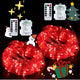 2*100LED - Red