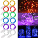 12 - 6 Colors