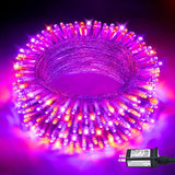 JMEXSUSS LED Fairy Lights – Thoughtful Birthday Gift for Her, 8 Mode String Lights for Bedroom and Home Decor