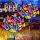 2 Pack Butterflys Lights