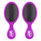 Purple - 2 Count (Pack of 1)
