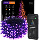 Orange & Purple - 300 LED-WiFi