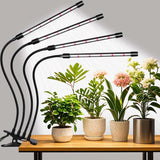 Domus Botanix Grow Light – Clutter-Free Clip Lamp for Intentional Small-Space Living