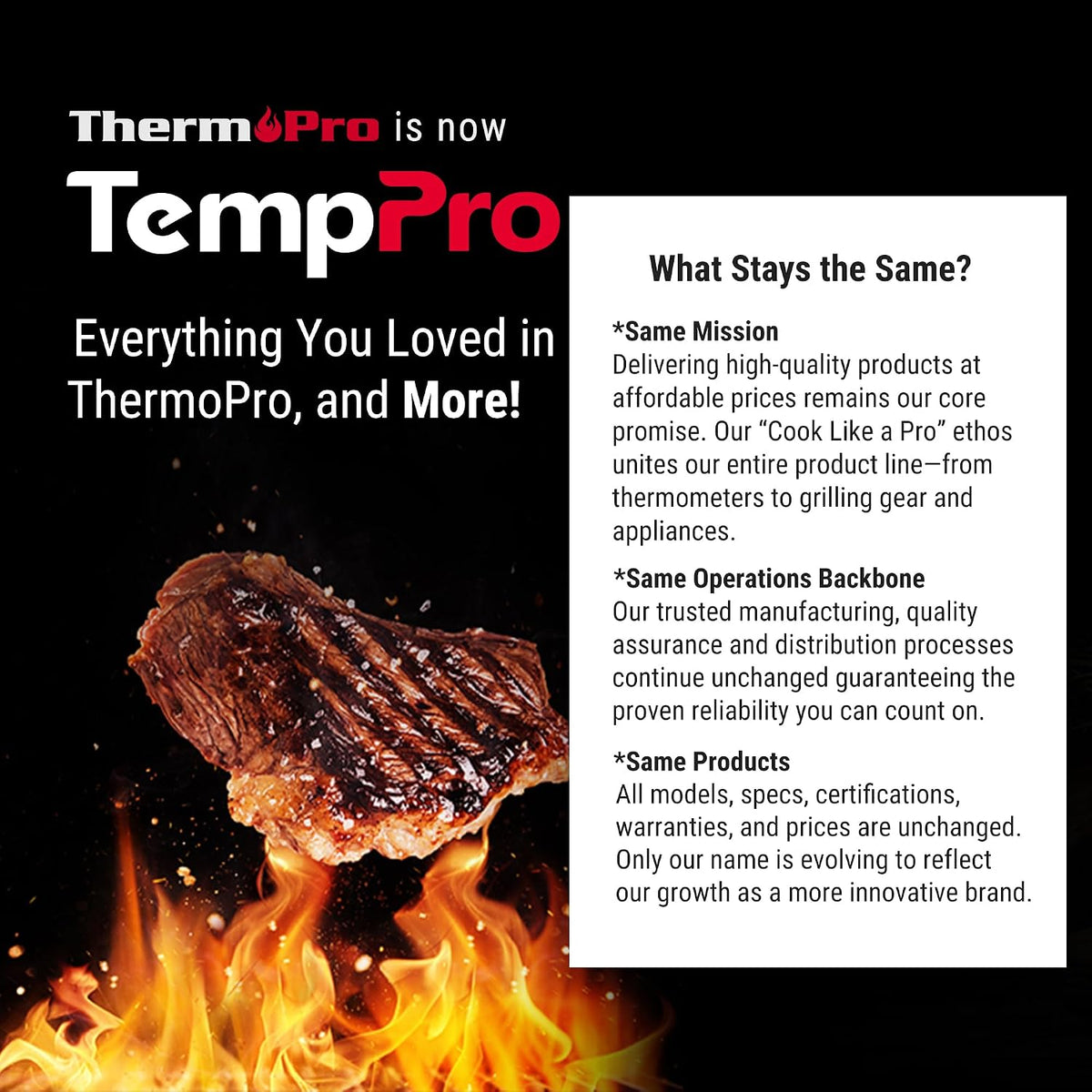TempPro TempSwift Digital Meat Thermometer Gift for Dad, Thoughtful Present for Grill Masters and Home Cooks