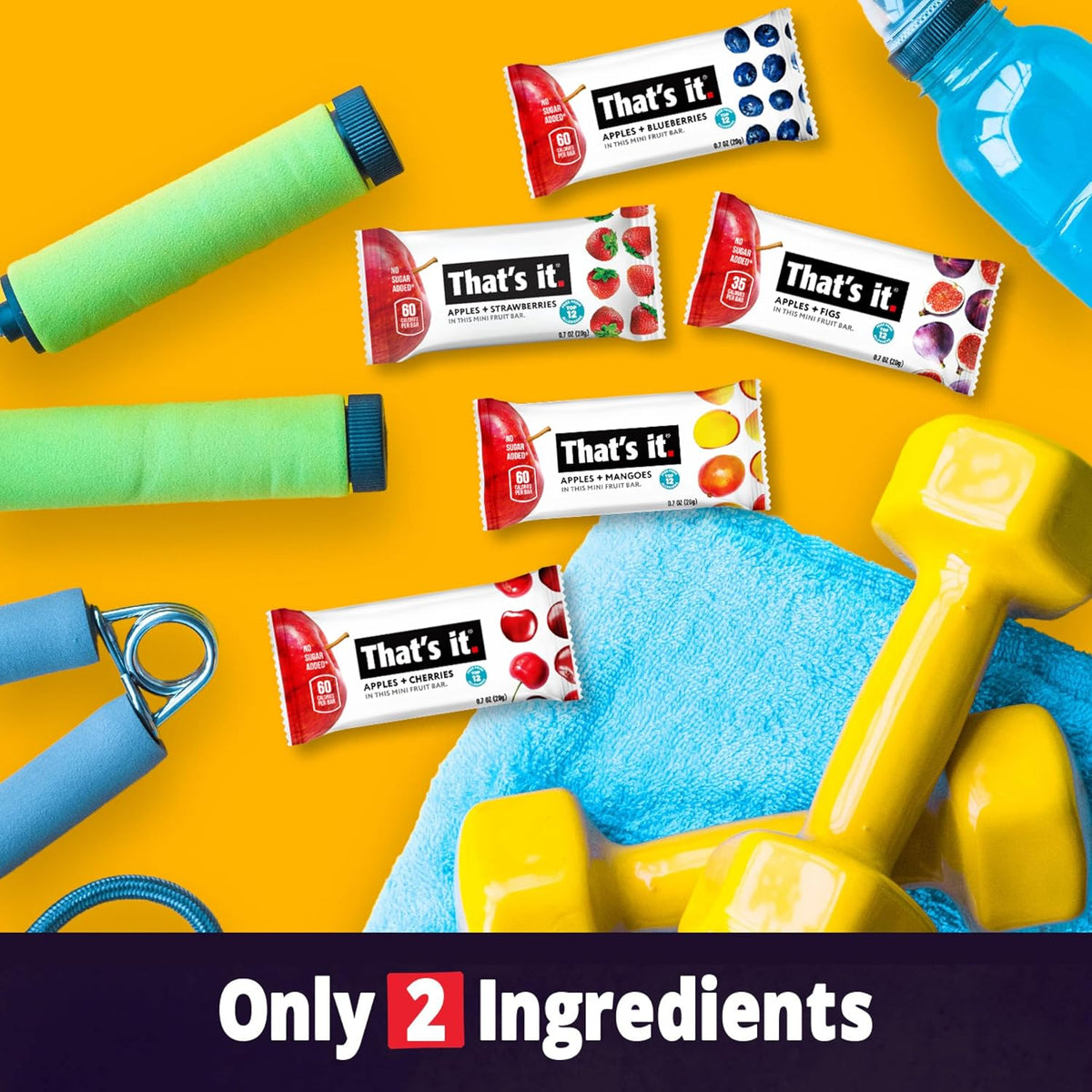 That's it. Mini Fruit Bars – Camping Backpack Snack for Outdoor Adventures, Two-Ingredient Plant-Based Bar
