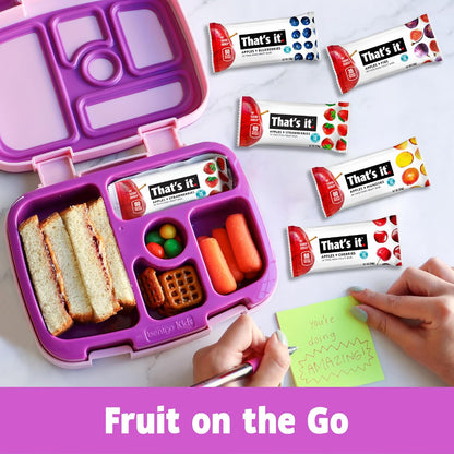 That's it. Mini Fruit Bars – Camping Backpack Snack for Outdoor Adventures, Two-Ingredient Plant-Based Bar