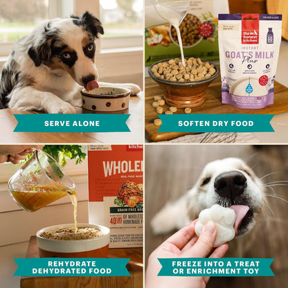 The Honest Kitchen Instant Probiotic Goat's Milk – Elegant Pet Parent Gift Under $30, Multi-Species Digestive Support