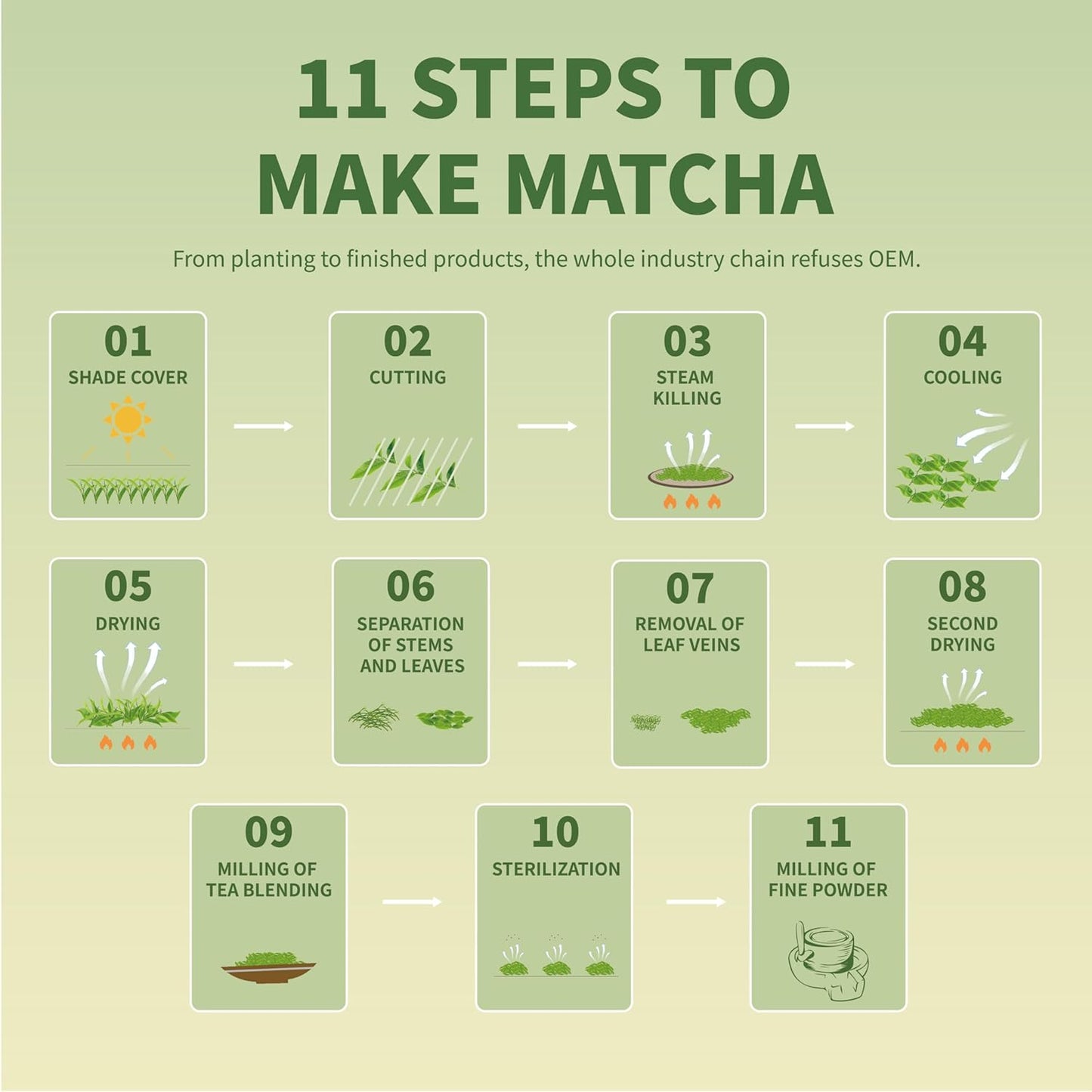 TIAN HU SHAN Matcha Green Tea Powder – Thoughtful Gift for Matcha Lovers, Premium Tin for Birthdays and Holidays