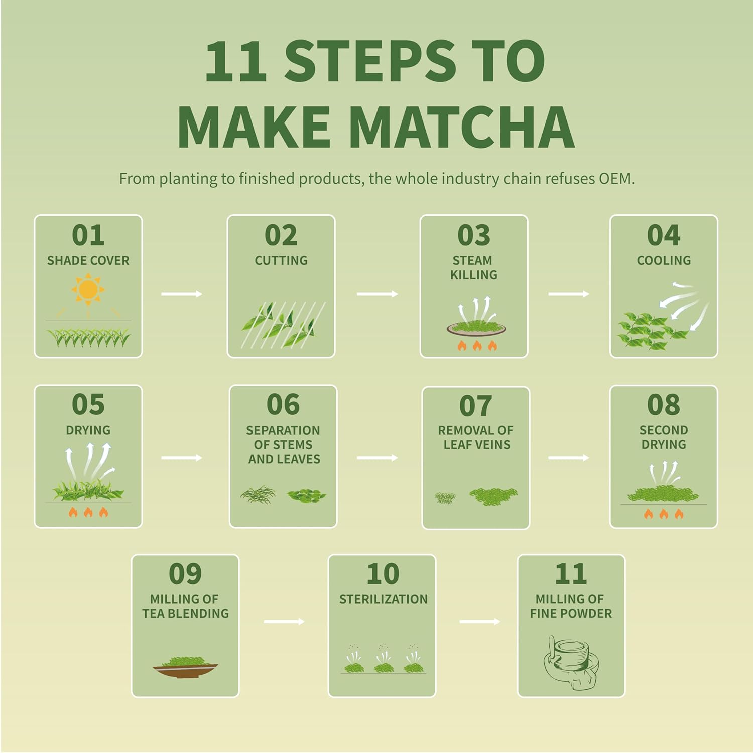 TIAN HU SHAN Matcha Green Tea Powder – Thoughtful Gift for Matcha Lovers, Premium Tin for Birthdays and Holidays