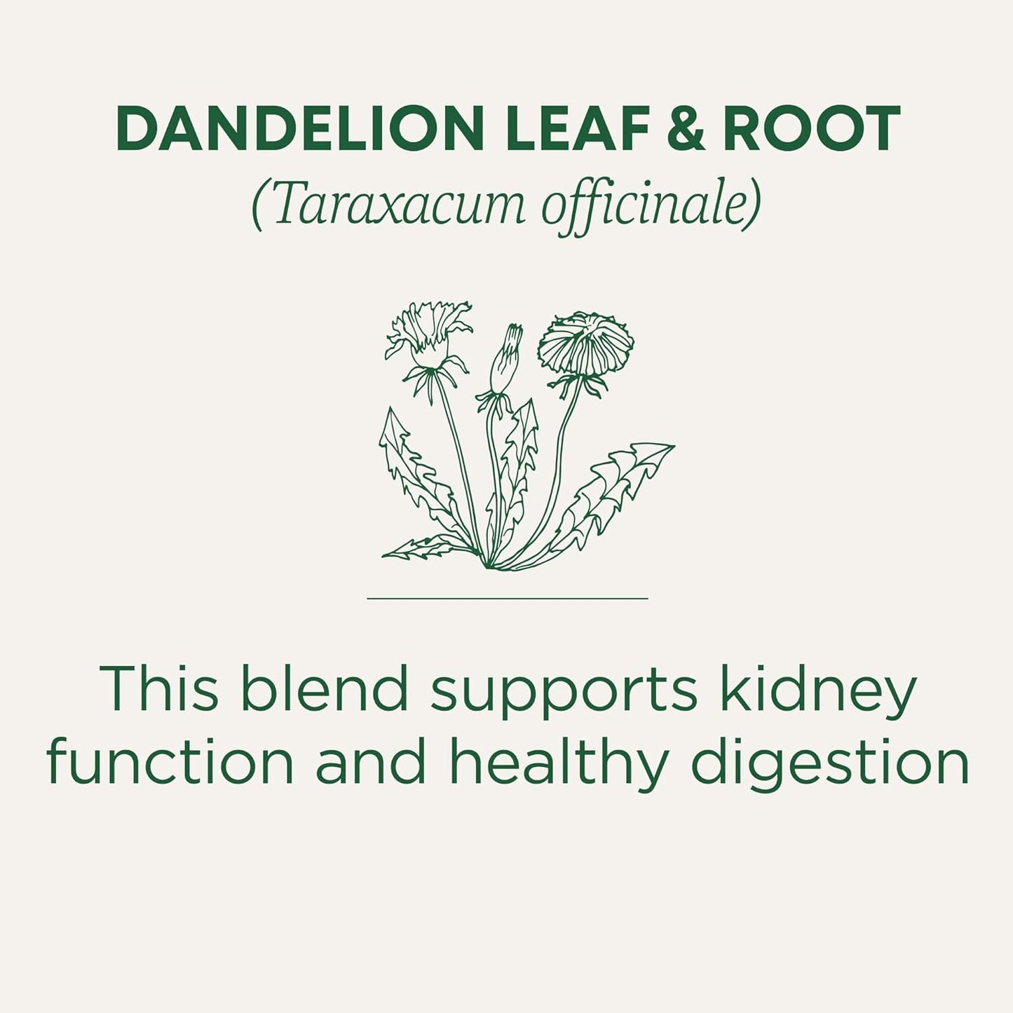 Traditional Medicinals Organic Dandelion Leaf & Root Tea – Thoughtful Wellness Gift for Mom on Her Birthday