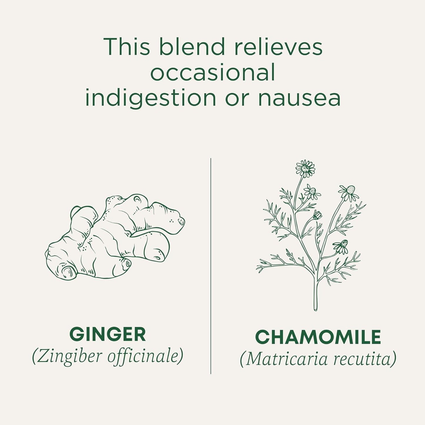 Traditional Medicinals Organic Ginger & Chamomile Herbal Tea – Nightly Wind-Down Ritual for Soothing Digestion, 16 Bags