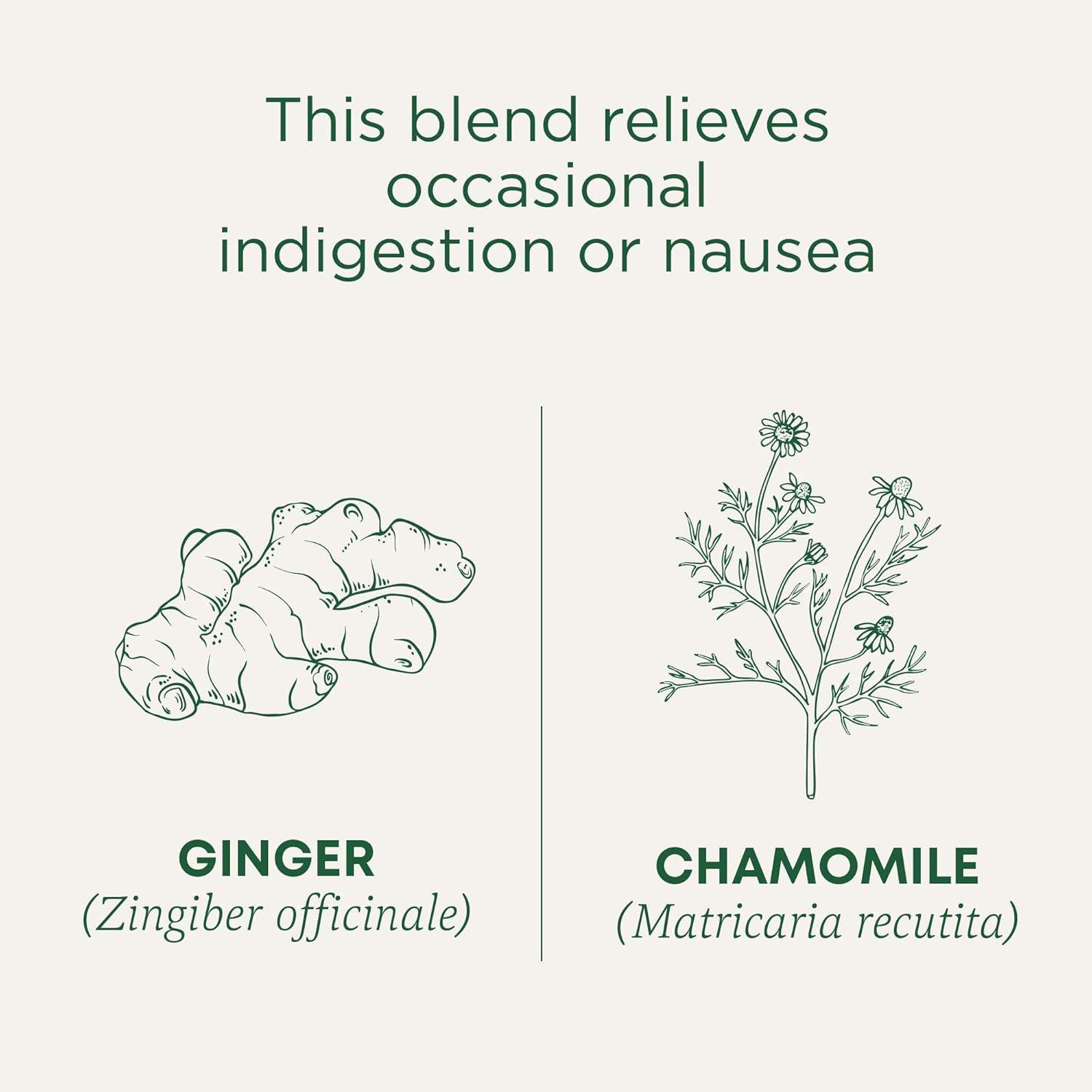 Traditional Medicinals Organic Ginger & Chamomile Herbal Tea – Nightly Wind-Down Ritual for Soothing Digestion, 16 Bags
