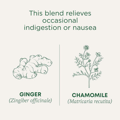 Traditional Medicinals Organic Ginger & Chamomile Herbal Tea – Nightly Wind-Down Ritual for Soothing Digestion, 16 Bags