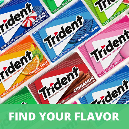 Trident Cinnamon Sugar-Free Chewing Gum for Birthday Party Favors, 24 Packs of 14 Pieces in Classic Flavor Mix