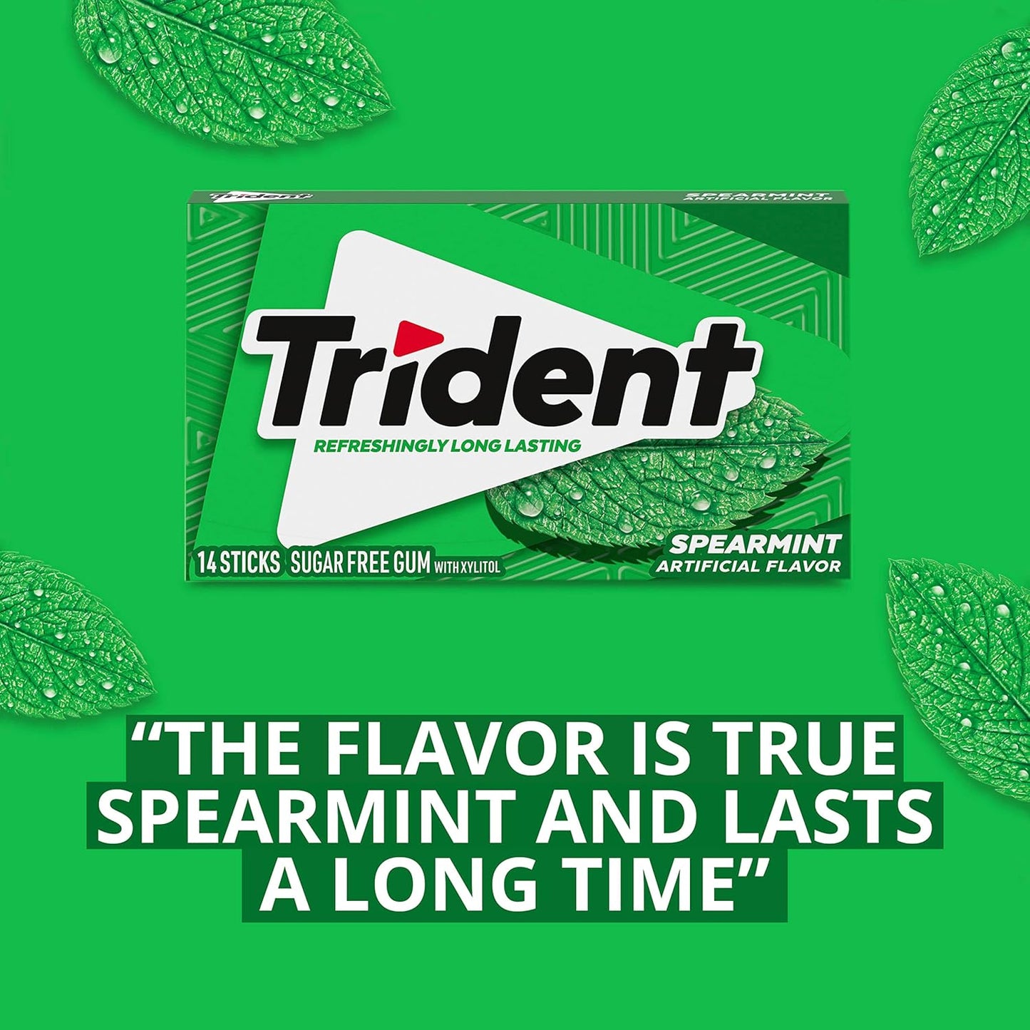 Trident Cinnamon Sugar-Free Chewing Gum for Birthday Party Favors, 24 Packs of 14 Pieces in Classic Flavor Mix