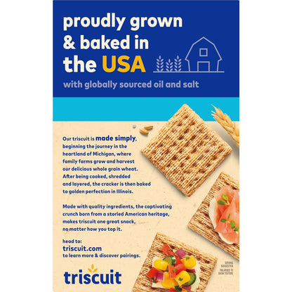 Triscuit Hint of Sea Salt Whole Grain Crackers – Wholesome Whole Wheat Snack for School Lunches and After-School Bites