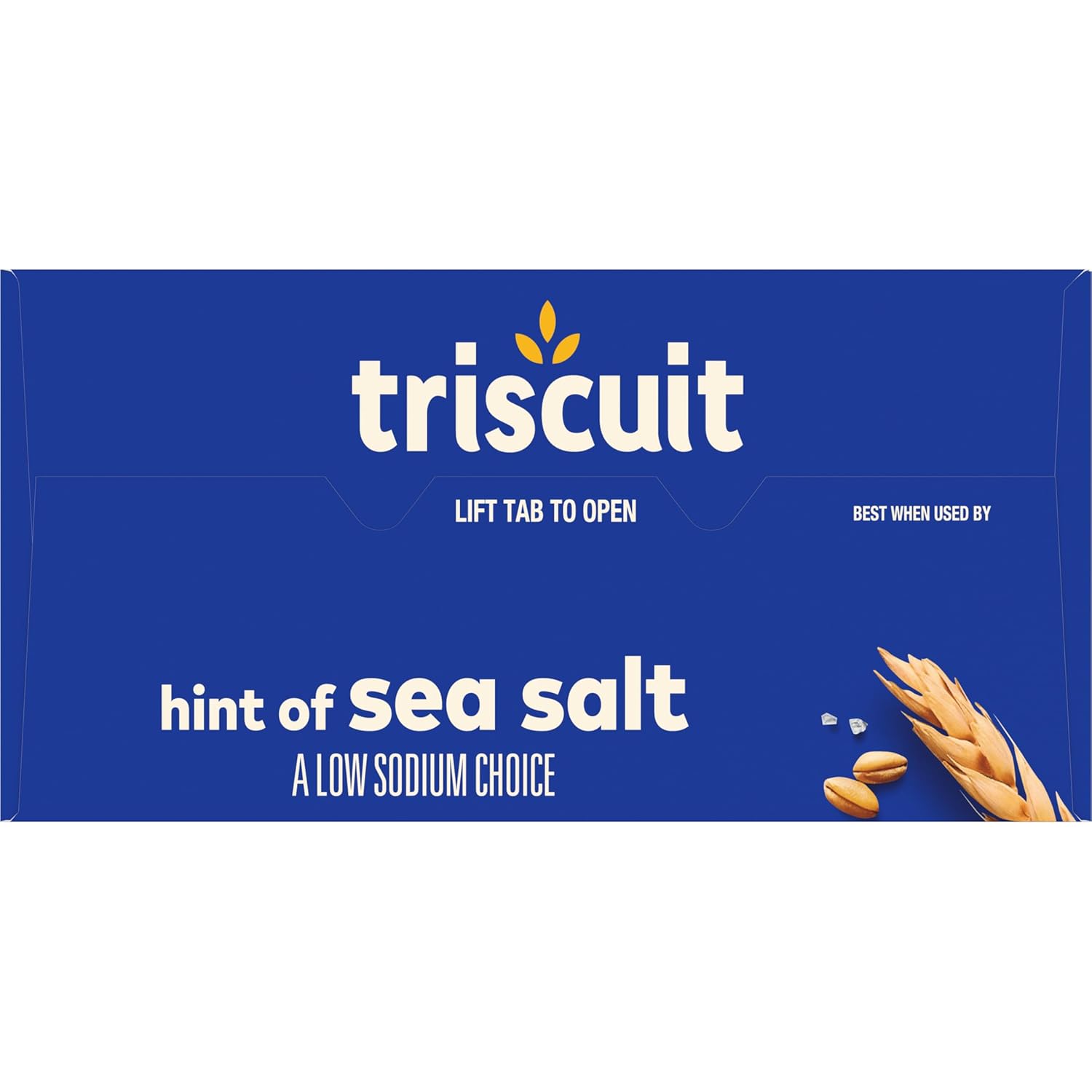 Triscuit Hint of Sea Salt Whole Grain Crackers – Wholesome Whole Wheat Snack for School Lunches and After-School Bites