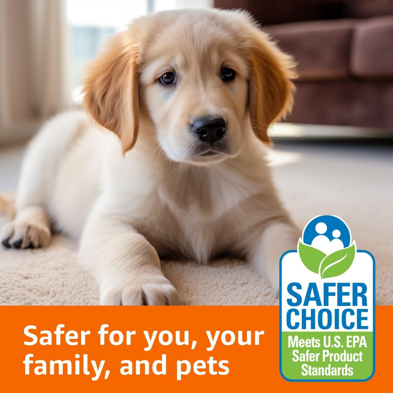 two formula variants: dedicated pet stain & odor and oxygen-based oxy