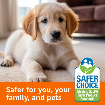 two formula variants: dedicated pet stain & odor and oxygen-based oxy