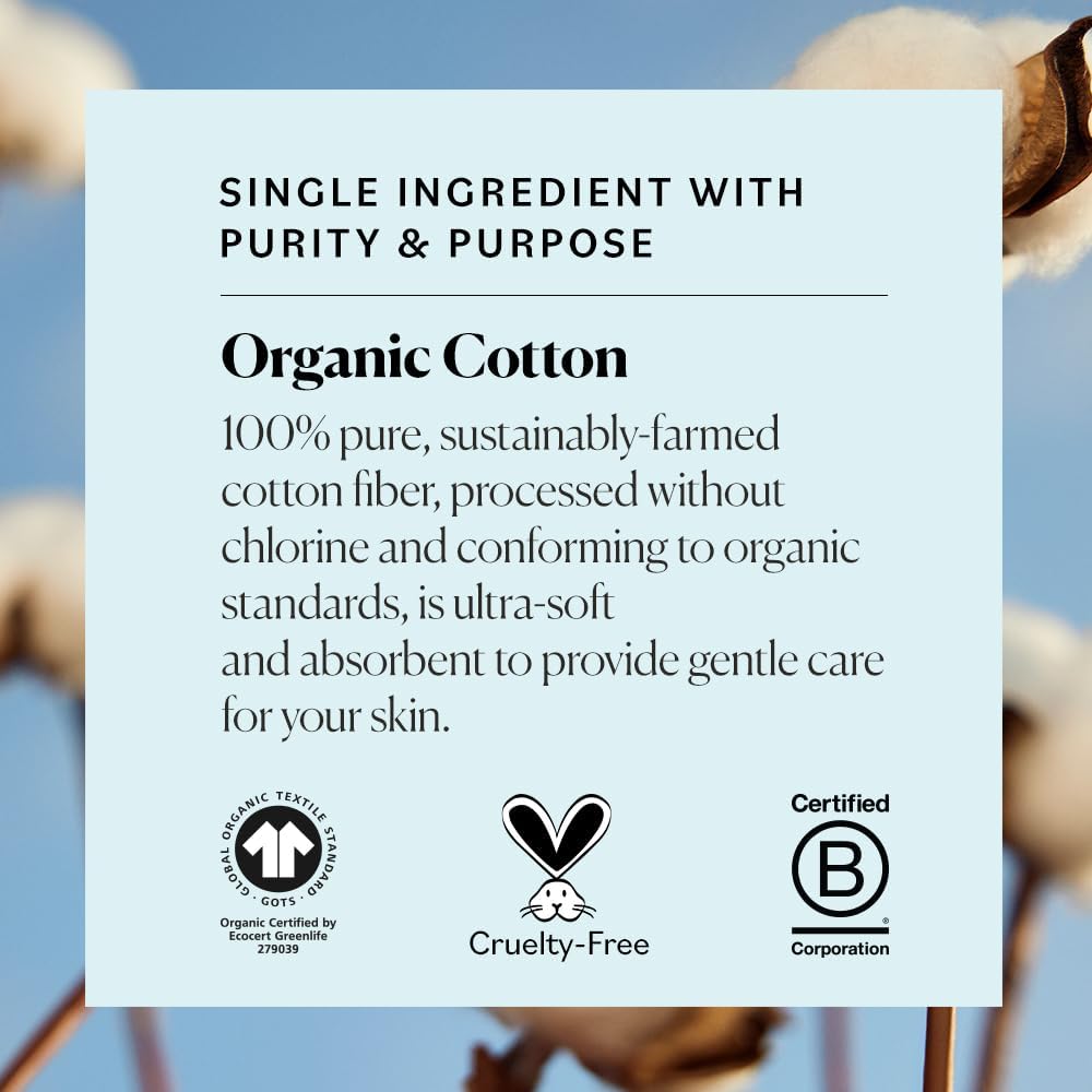 two size options: 100 count single pack and 300 count pack of 3