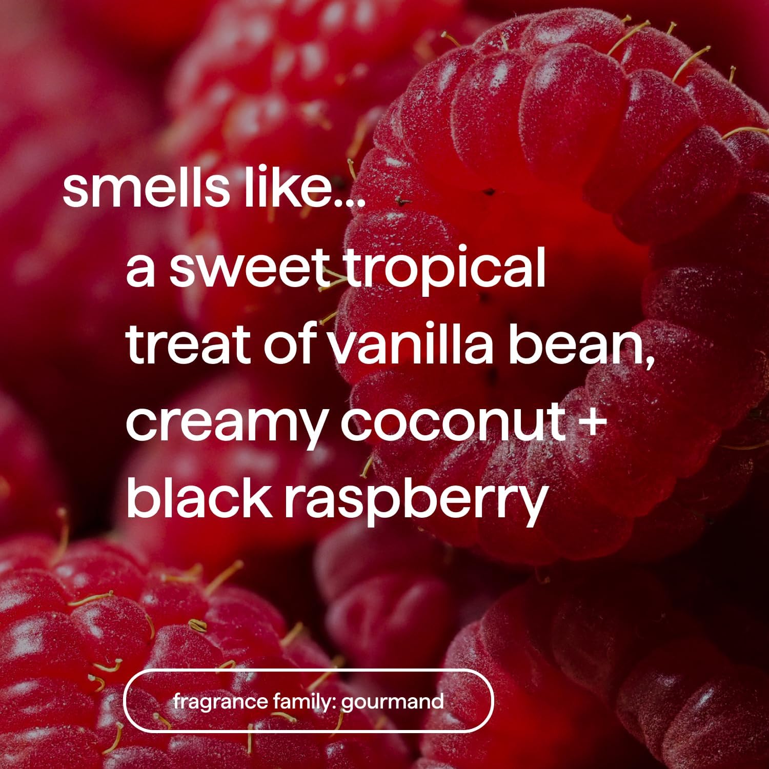 vanilla + raspberry scent for a warm, dessert-like fragrance