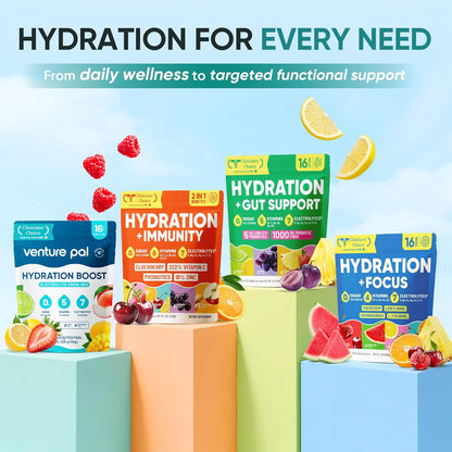 Venture Pal Electrolyte Drink Mix – Study & Workday Focus Companion, Single-Serve Packets for Consistent Midday Hydration