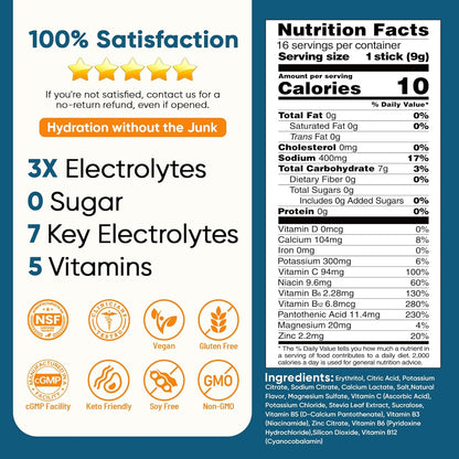 Venture Pal Electrolyte Drink Mix – Study & Workday Focus Companion, Single-Serve Packets for Consistent Midday Hydration