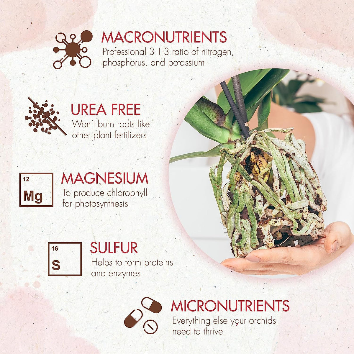 versatile application method—poked into soil holes or sprinkled on the potting surface