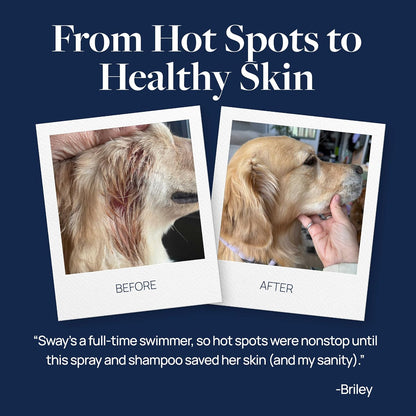Veterinary Formula Clinical Care Hot Spot & Itch Relief Spray for Dogs & Cats – Thoughtful Gift for Multi-Pet Households