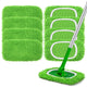 8 Pack (Green)