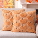 Apricot - 20" x 20" (Pack of 2)