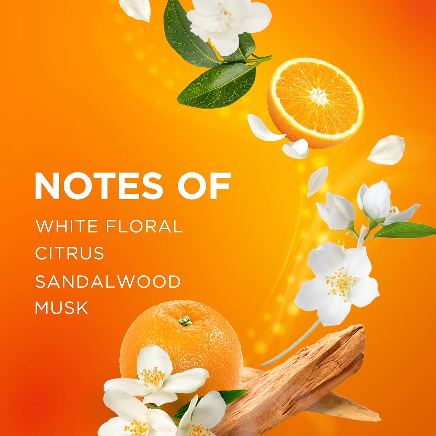 vibrant fresh fragrance profile built on white florals, citrus, sandalwood, and musk
