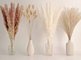 LukLuk Dried Pampas and Reed Grass – Soothing Boho Floral Atmosphere for Evening Self Care