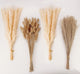 100PCS-Beige