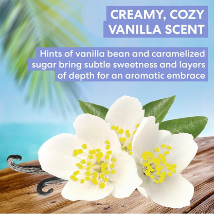 warm vanilla bean and caramelized sugar fragrance profile