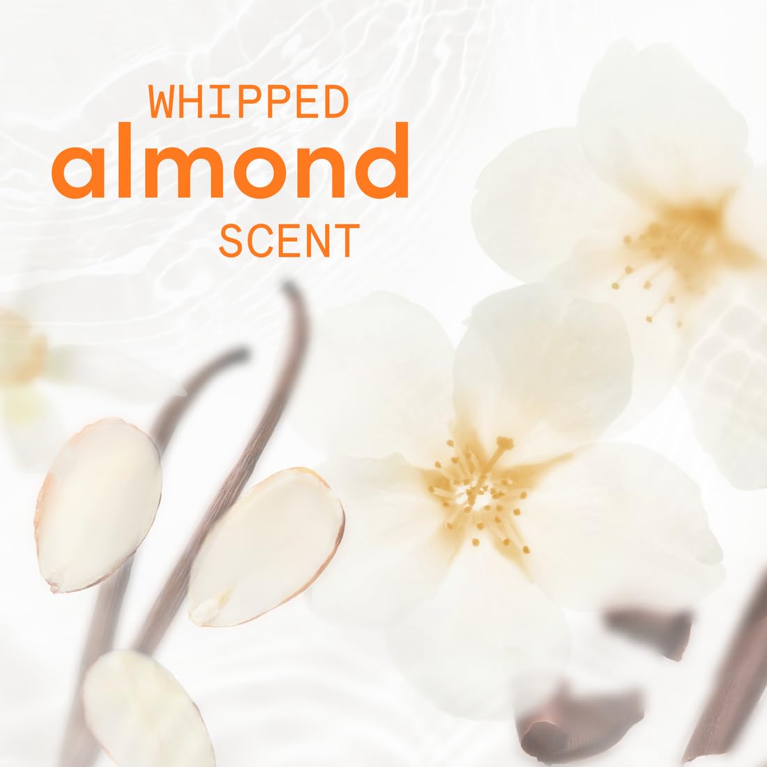 whipped almond scent profile layering creamy almond, warm sandalwood, cocoa, and vanilla