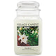 Gardenia - 21.25 oz.
