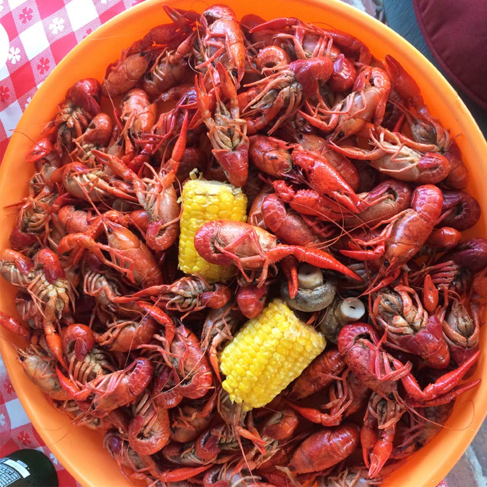 Zatarain's Crawfish, Shrimp & Crab Boil 4.5 lb – Camping and Tailgate Shrimp Boil Spice for Open-Air Cooking