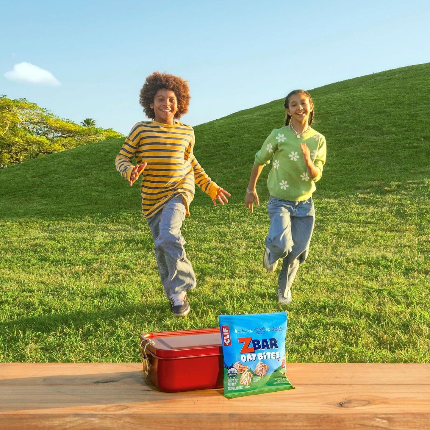 Zbar Oat Bites - Iced Oatmeal Cookie - Portable Organic Snack for Weekend Hikes and Park Outings - 6 Single-Serve Packs