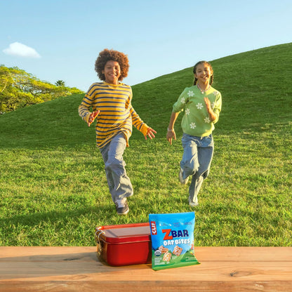 Zbar Oat Bites - Iced Oatmeal Cookie - Portable Organic Snack for Weekend Hikes and Park Outings - 6 Single-Serve Packs